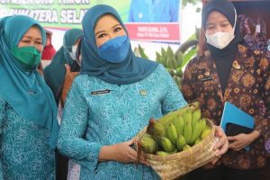 Ketua TP PKK Sumsel Febrita Lustia Herman Deru