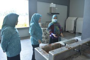 Wakil Ketua TP PKK Sumsel Hj Fauziah MY